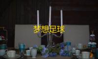 梦想足球